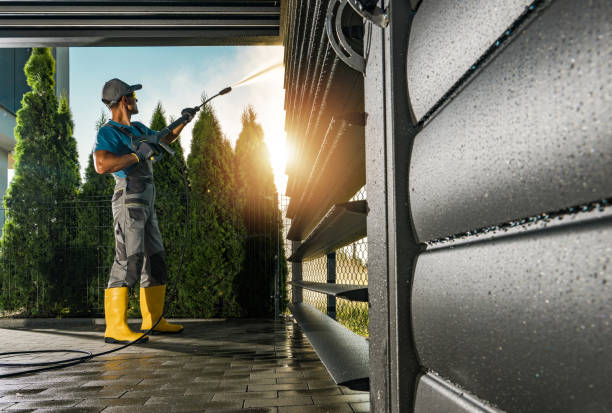 Best Roof Pressure Washing  in Norway, MI